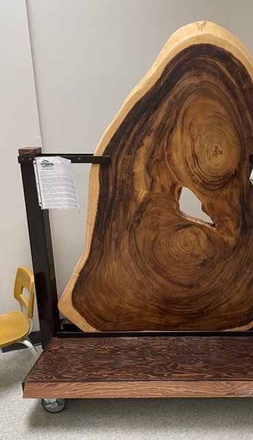 cranstontreebefore